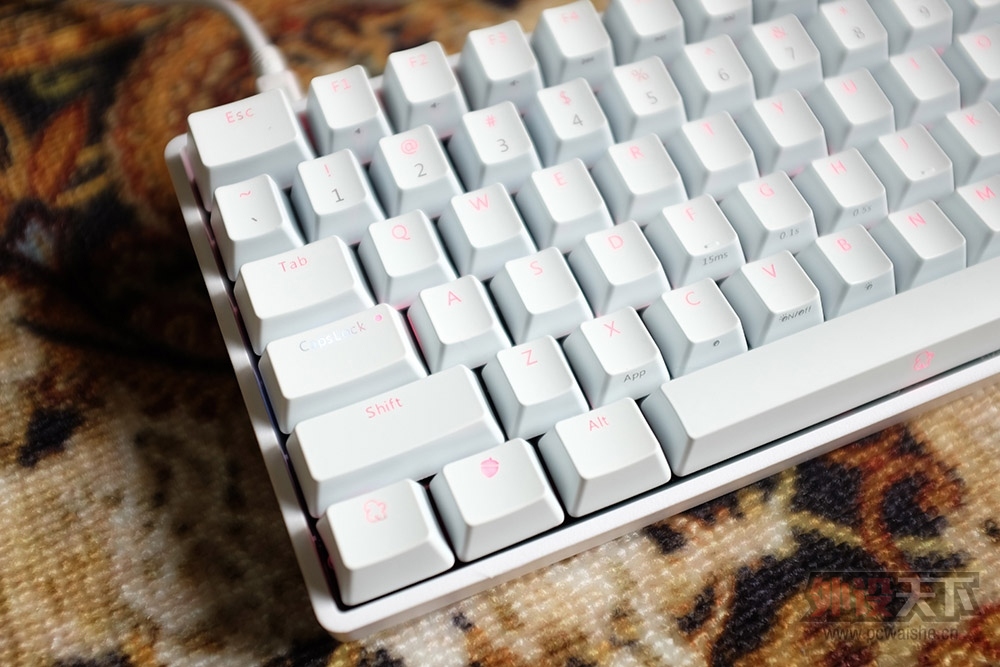 ӵİ ɫ˽ СµKBT RACE II ϶պ̨ʽԤ