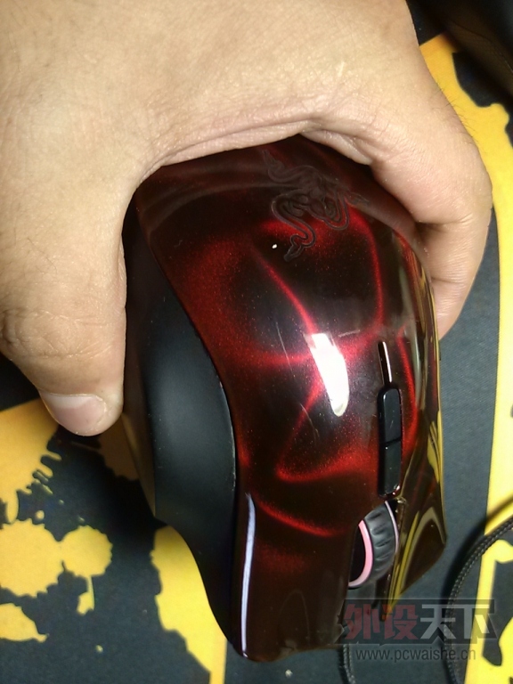 CAM00214.jpg