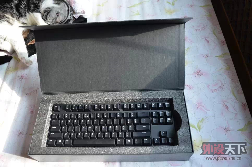 �ѳ�