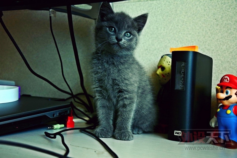 è���ֶ��ص������� YIHA!!!!!! (����ͼ)