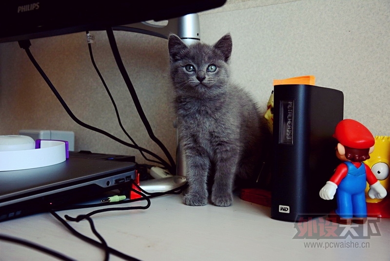 è���ֶ��ص������� YIHA!!!!!! (����ͼ)