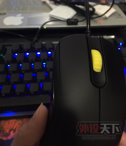 �����ա�FK1