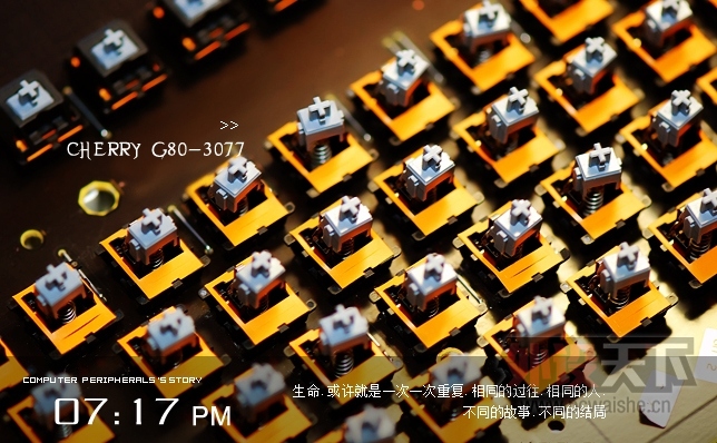 [24P] һ��һ��.
