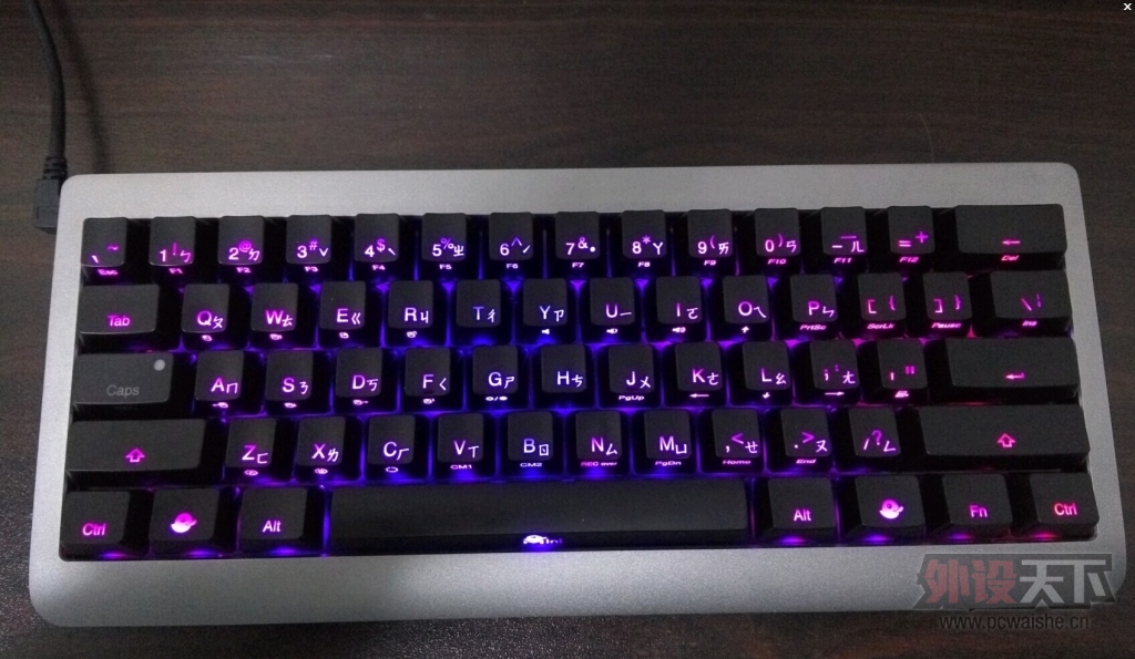 [����]��DUCKY mini���� 61������˫ɫ����
