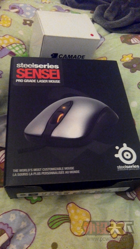 �����ϡ�Sensei��ʦ�����ڱ�95��(�ѳ�)