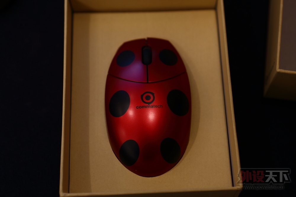 �����᡿��Ư����һֱ�׳濨��fkmini V3�������
