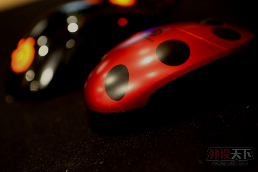 �����᡿��Ư����һֱ�׳濨��fkmini V3�������