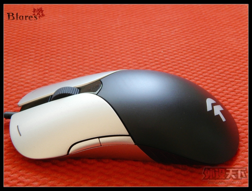 µѧ----------------- ROGUE MONDO REZּ
