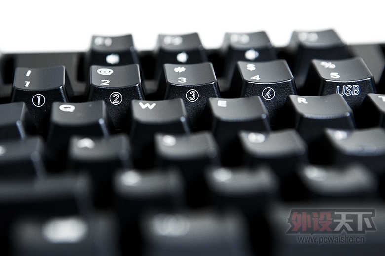 Filco Majestouch Convertible 2 Brown switch/US ASCII