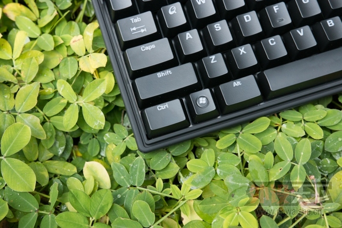����Ŭ�� QPAD MK-70�����