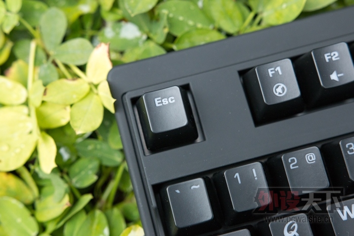 ����Ŭ�� QPAD MK-70�����