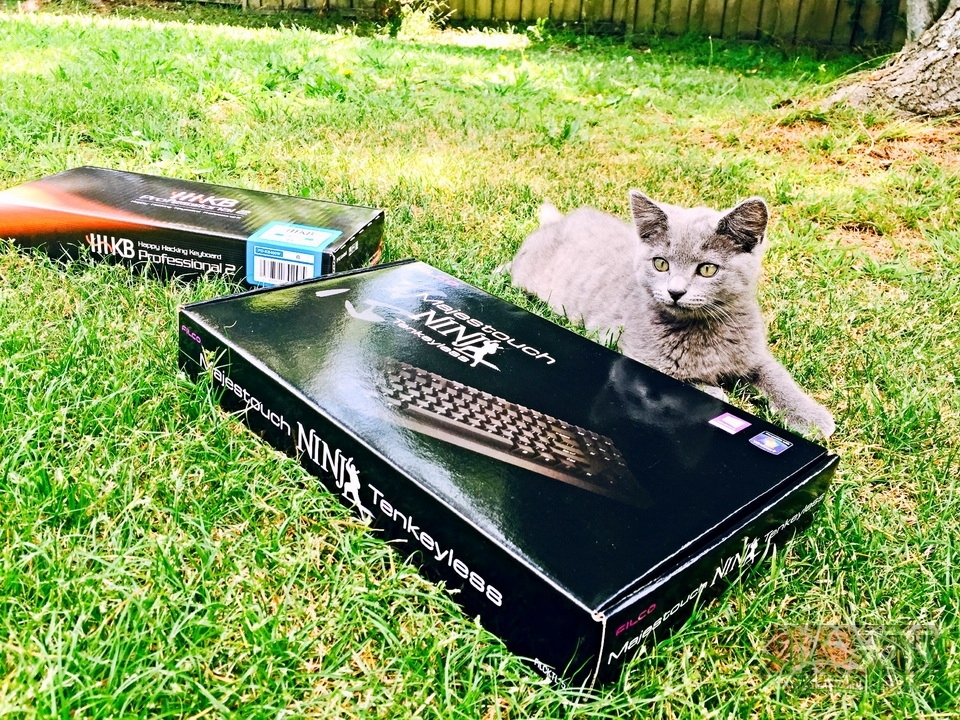 ʣ���ڳ���������