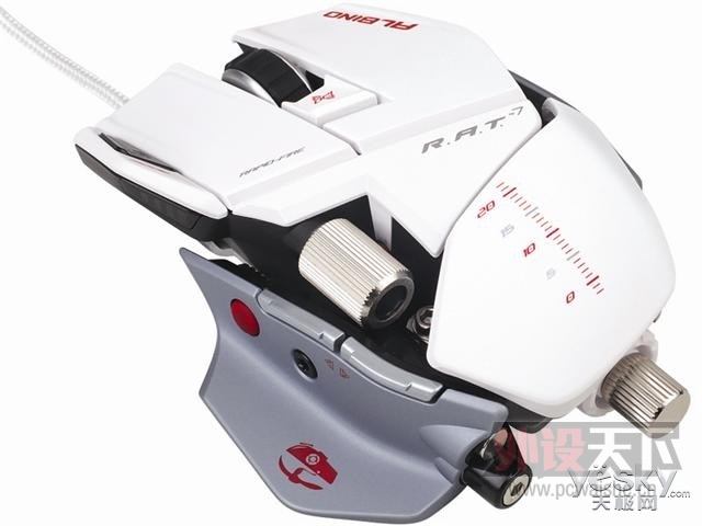 ���㽭����