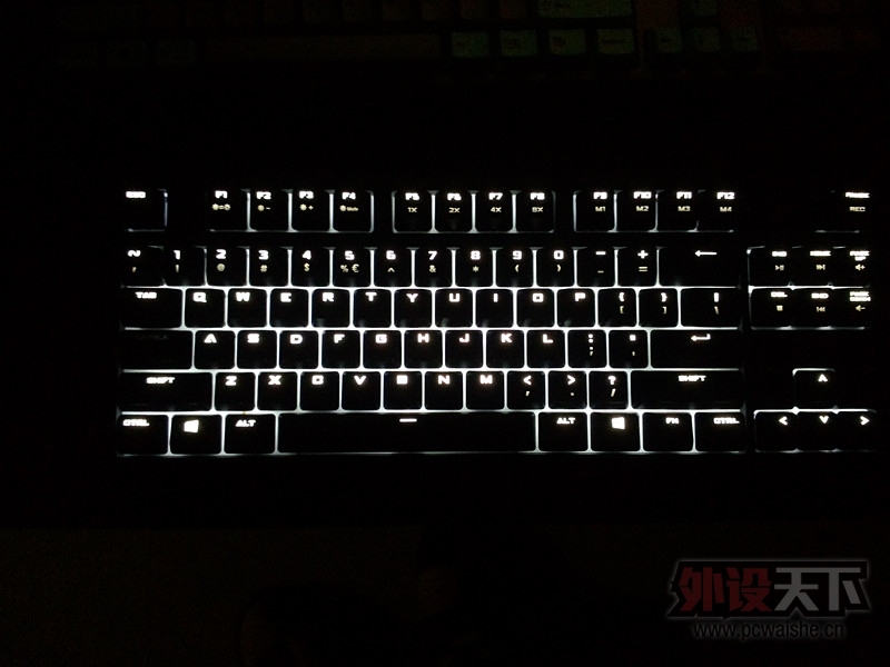 P41229-174950_.jpg