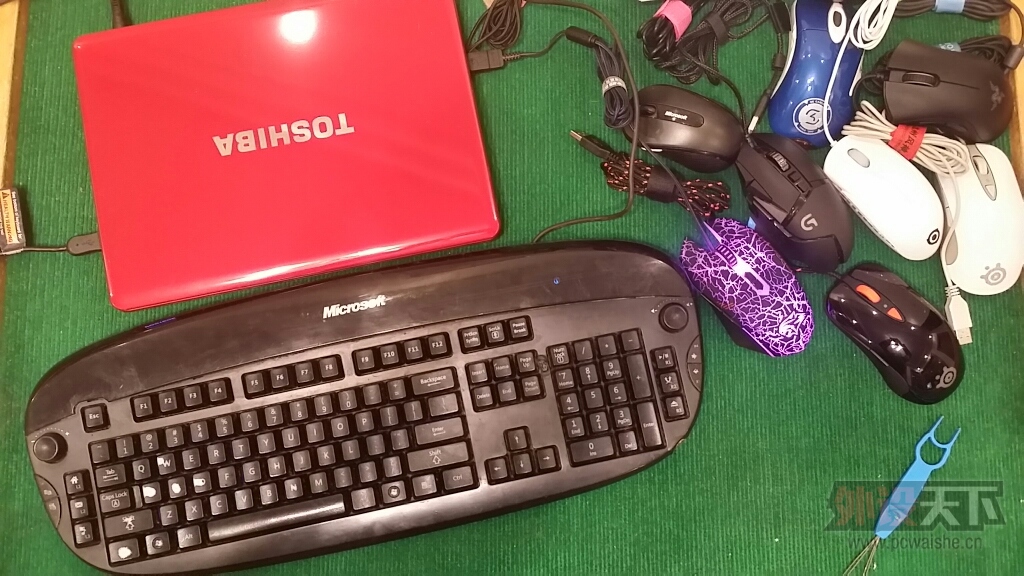 ᡿Ĩȥӡ---Microsoft Reclusa
