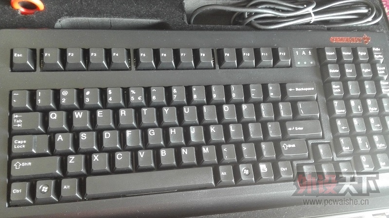 [����]��������ɡ�cherry 1865 ���� 9�� ��˳��
