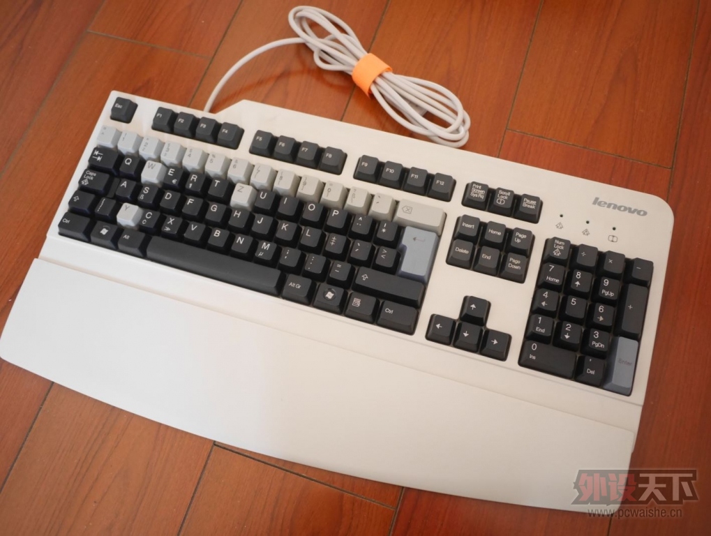 [����]SK-8825 �������������99��2��