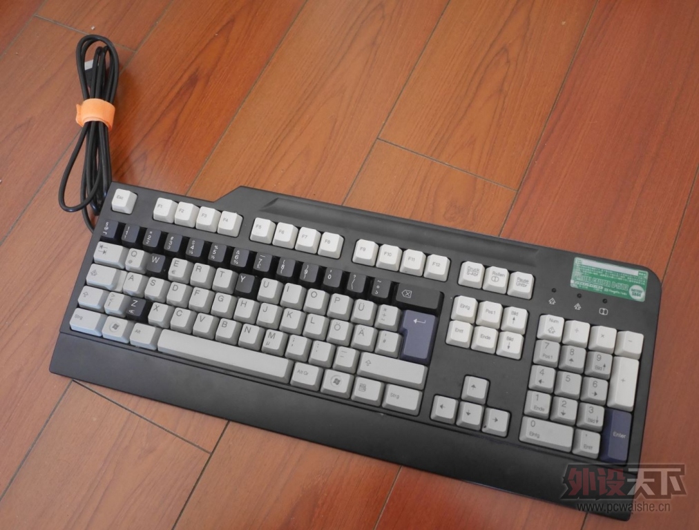 [����]SK-8825 �������������99��2��