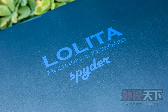 ����ս�� Noppoo LOLITA Spyder�����
