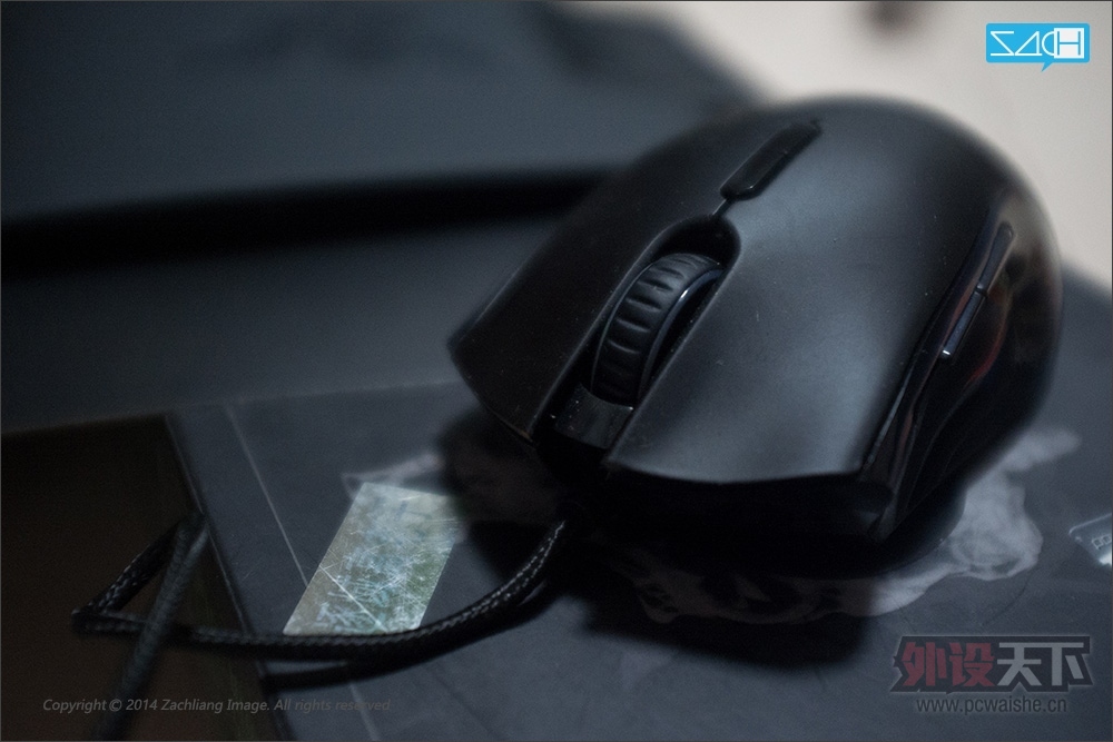 [�Ϻ�]WMO��������������1800���ߡ�Fnatic qck+��qck Mass