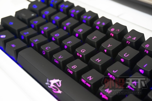 ���ռ�61����е!ħ��Ѽ����Ducky Mini��ɫ��