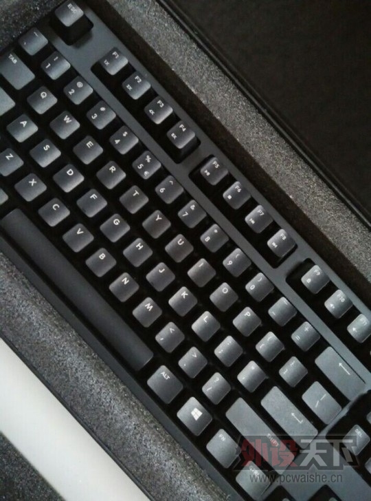 TB2cP6wbpXXXXbAXXXXXXXXXXXX_!!1579168494_jpg_728x728.jpg