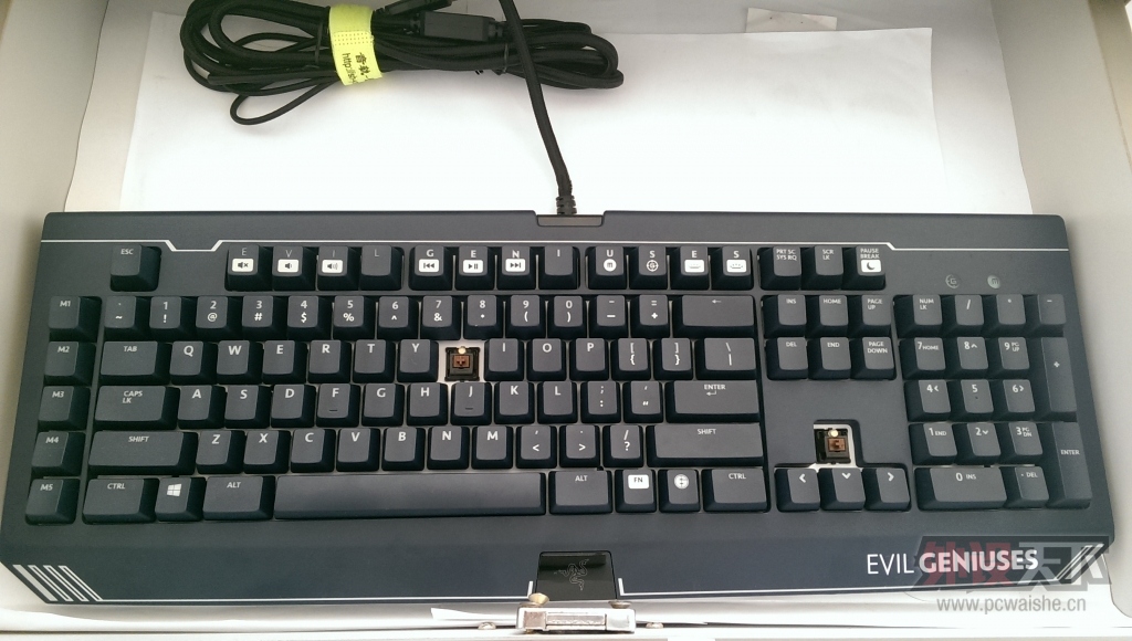 IMAG0342.jpg