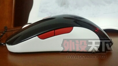 ROG��Sensei