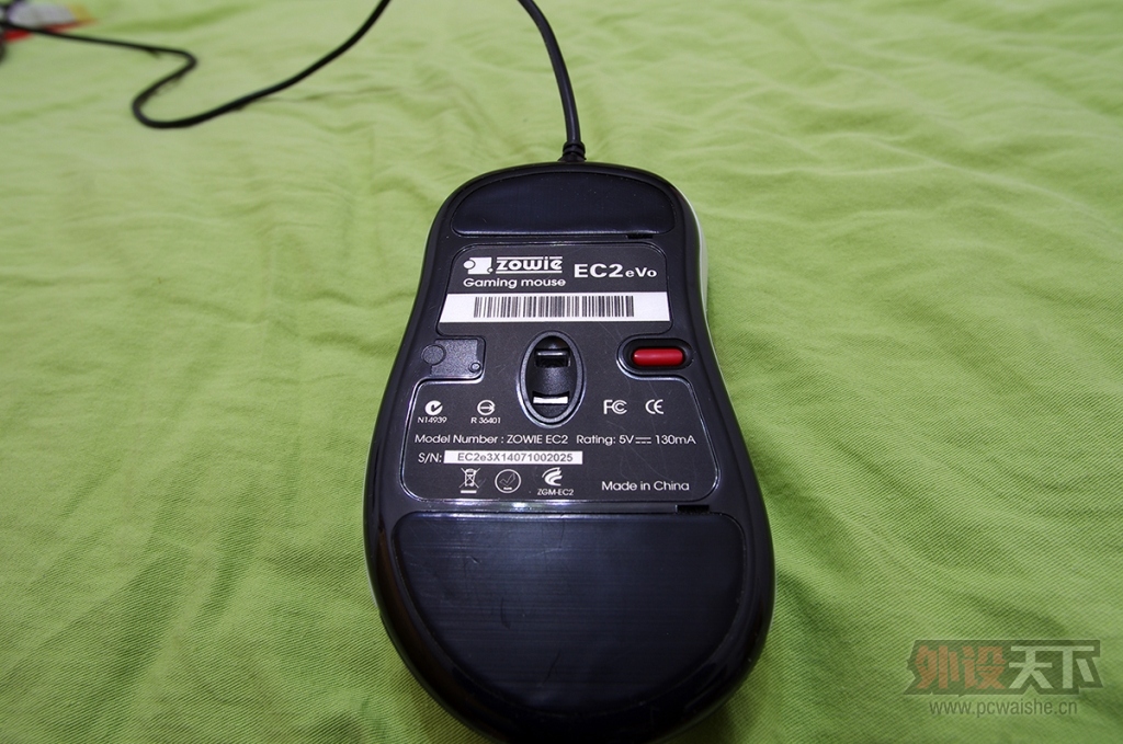 IMGP7742.jpg