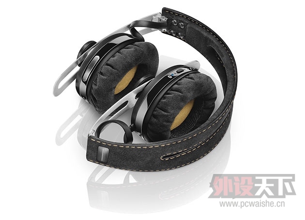 ɭ�������������߰汾�� Momentum �� Urbnanite