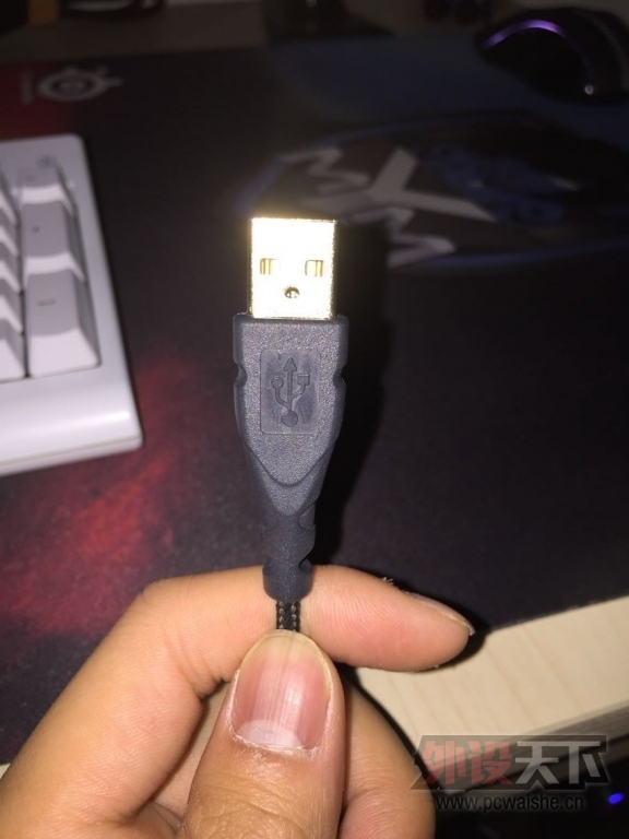 ���ӱ������㶫���ػ�Ѫ����ӭ�����������