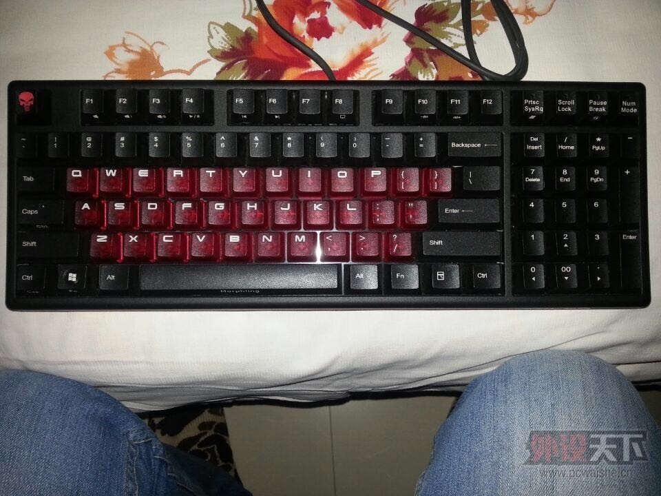 ���ӱ������㶫���ػ�Ѫ����ӭ�����������