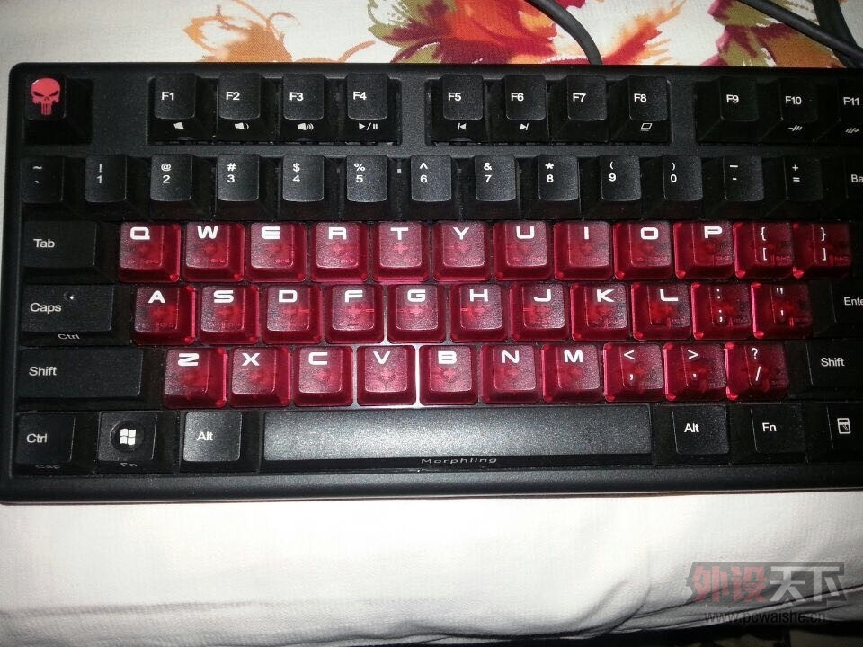 ���ӱ������㶫���ػ�Ѫ����ӭ�����������