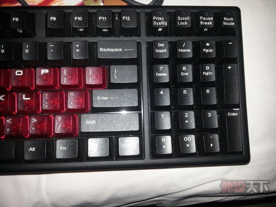 ���ӱ������㶫���ػ�Ѫ����ӭ�����������