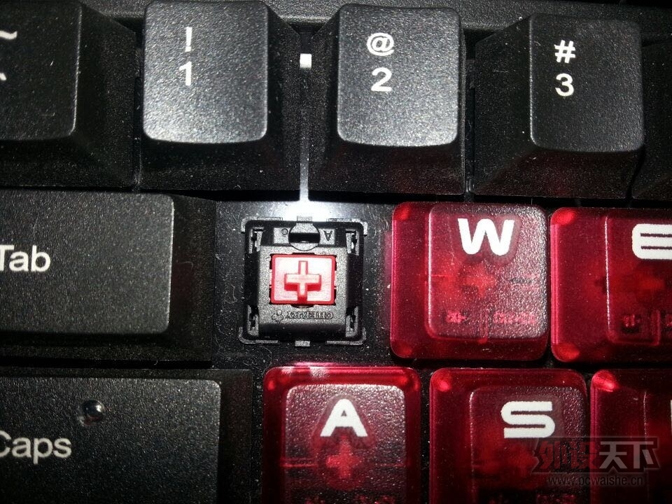 ���ӱ������㶫���ػ�Ѫ����ӭ�����������