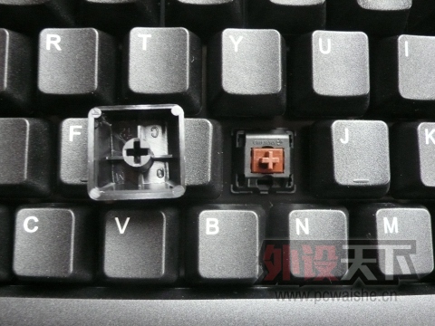 ���ɶ���zowie��е�����������+99��+500���ʵ�