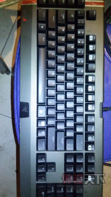 Լ豸ڹѸ+TT 