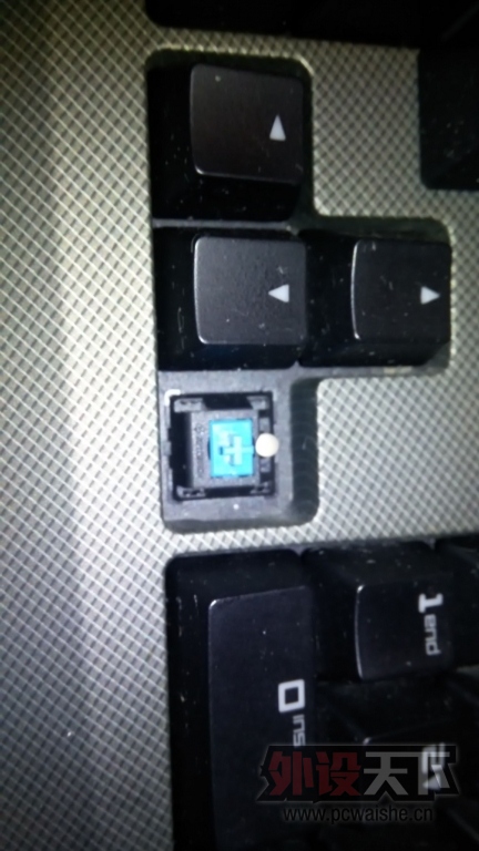 Լ豸ڹѸ+TT 