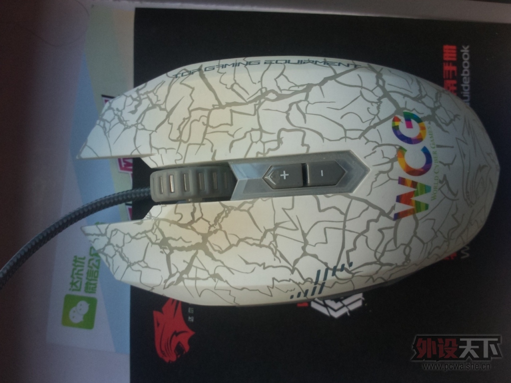 �����ա�������WCG������ 9���� ����