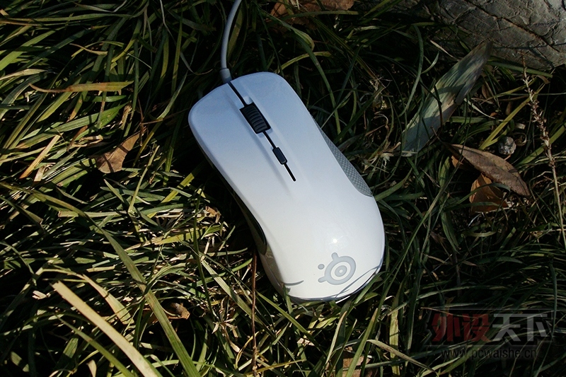 ɧһֻ֣˵һ---Rivalɫ