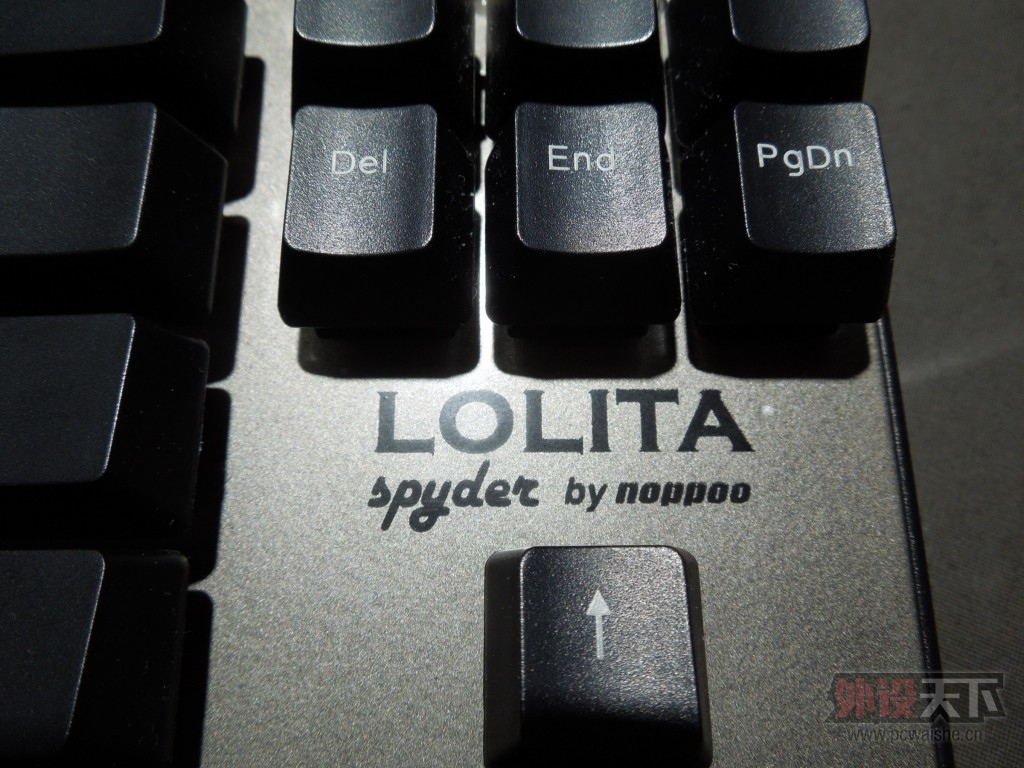����û�¸�----Lolita spyder