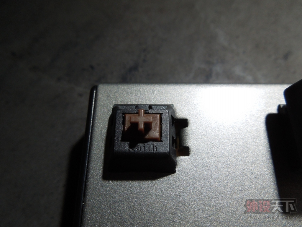 DSCN3291.jpg