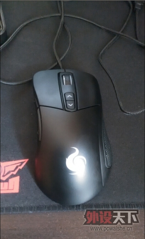 [����]�������Ǻ�ɫ���,9��,170��!![�ѳ�]