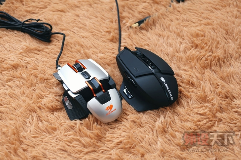 COUGAR��٤600M���估��ʵ�ø���