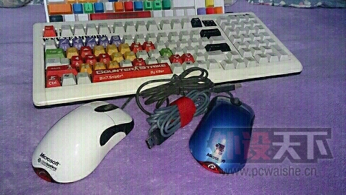 ���Ͼ������ճ��㶫��