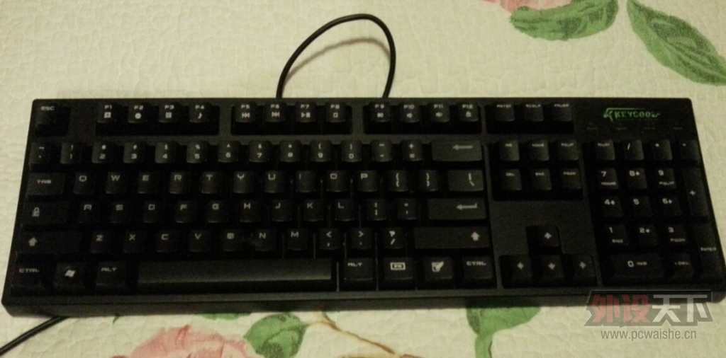 5555.jpg