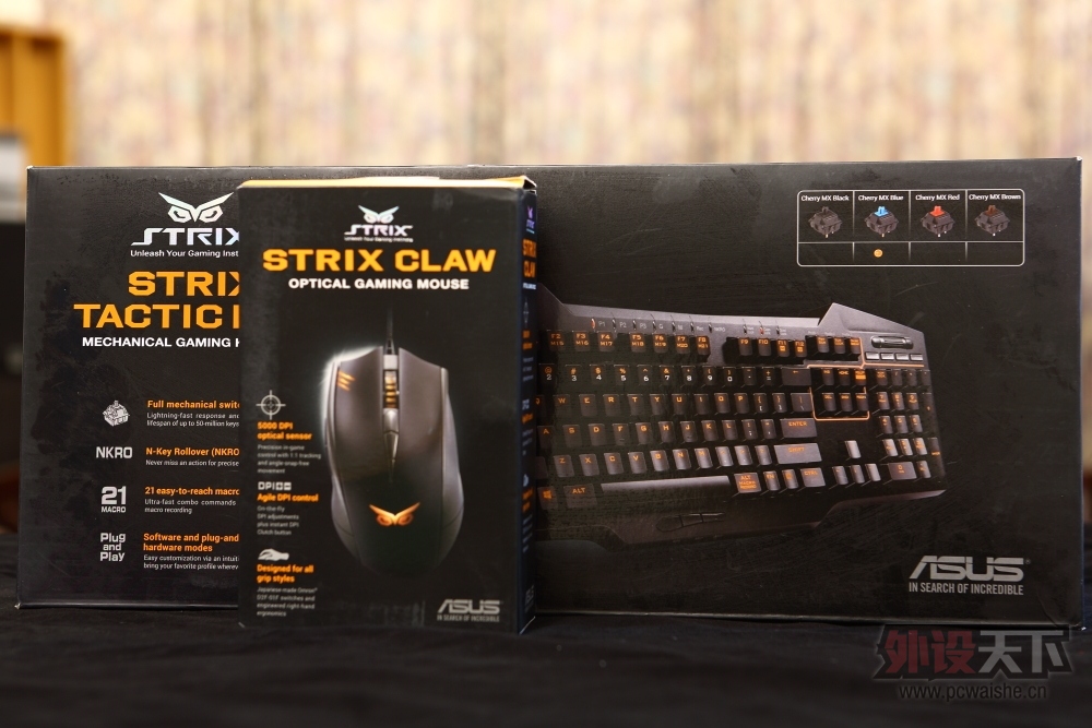 �����᡿��˶èͷӥ������----STRIX PRO���������