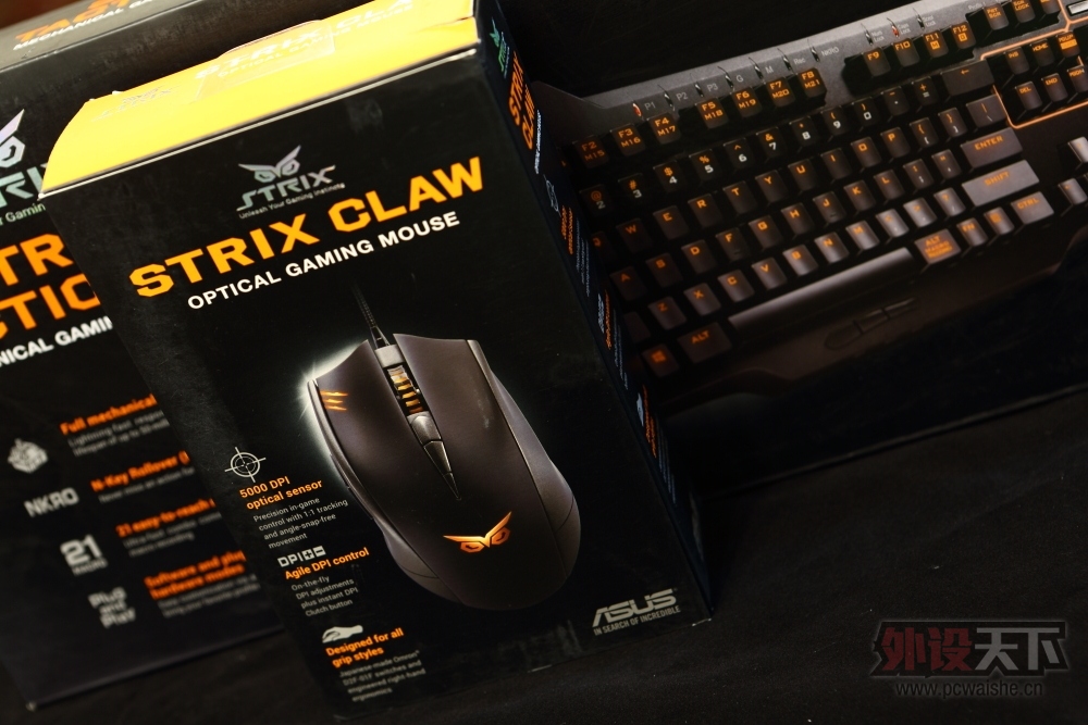 �����᡿��˶èͷӥ������----STRIX PRO���������