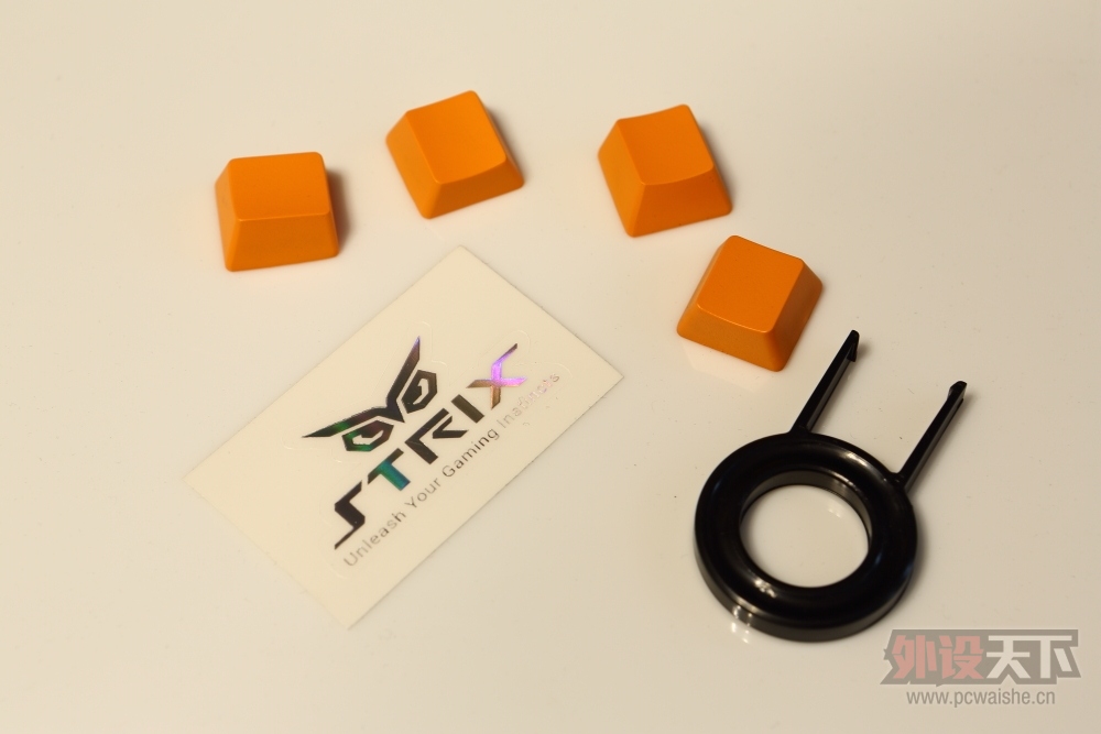 �����᡿��˶èͷӥ������----STRIX PRO���������