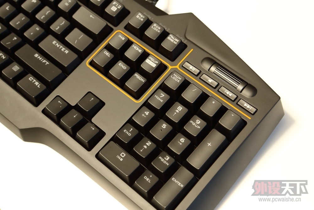 �����᡿��˶èͷӥ������----STRIX PRO���������